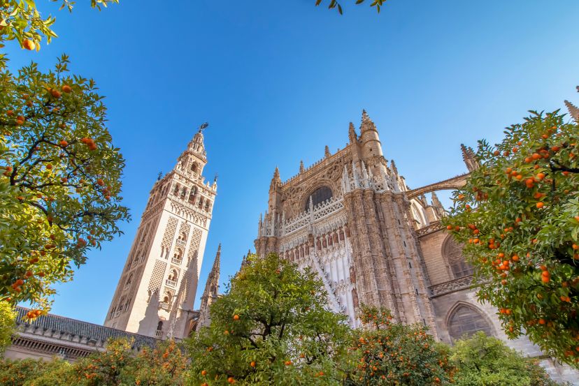 City Guide: Things to do in Seville