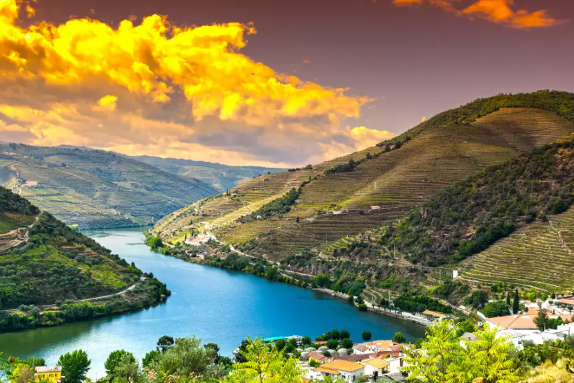 Douro, Porto and Salamanca River Fly/Cruise