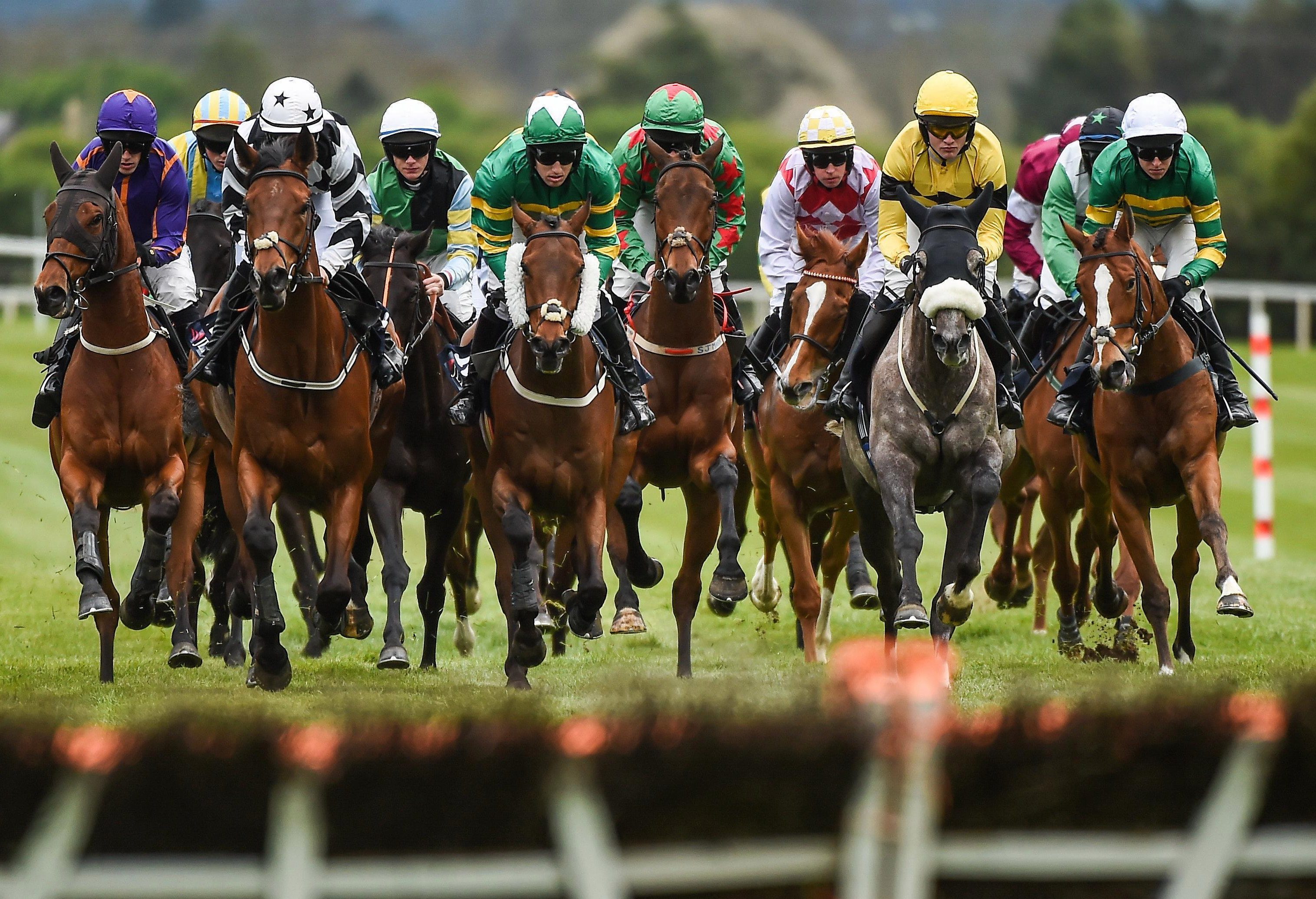 Cheltenham Festival 2025 Cassidy Travel