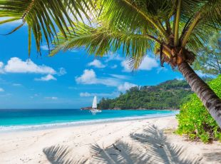 7 Night Western Caribbean Cruise