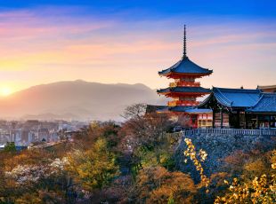 South Korea & Japan Fly Cruise