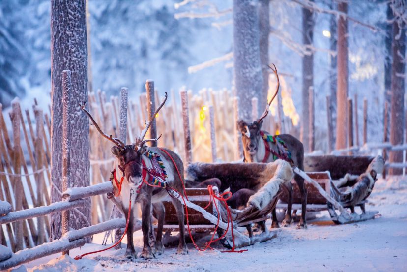 A Magical Holiday: Our Travel Expert's Trip to Lapland!