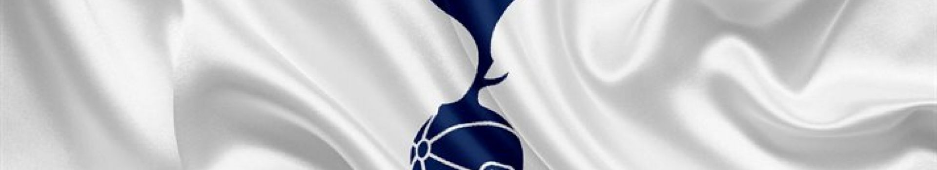 Tottenham Hotspur Match Breaks with Cassidy Travel